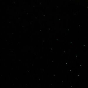 Meet your Posher, Nipa